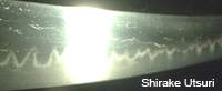 shirake utsuri